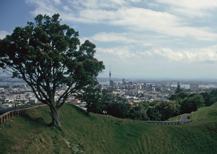 AUCKLAND..  views.JPG