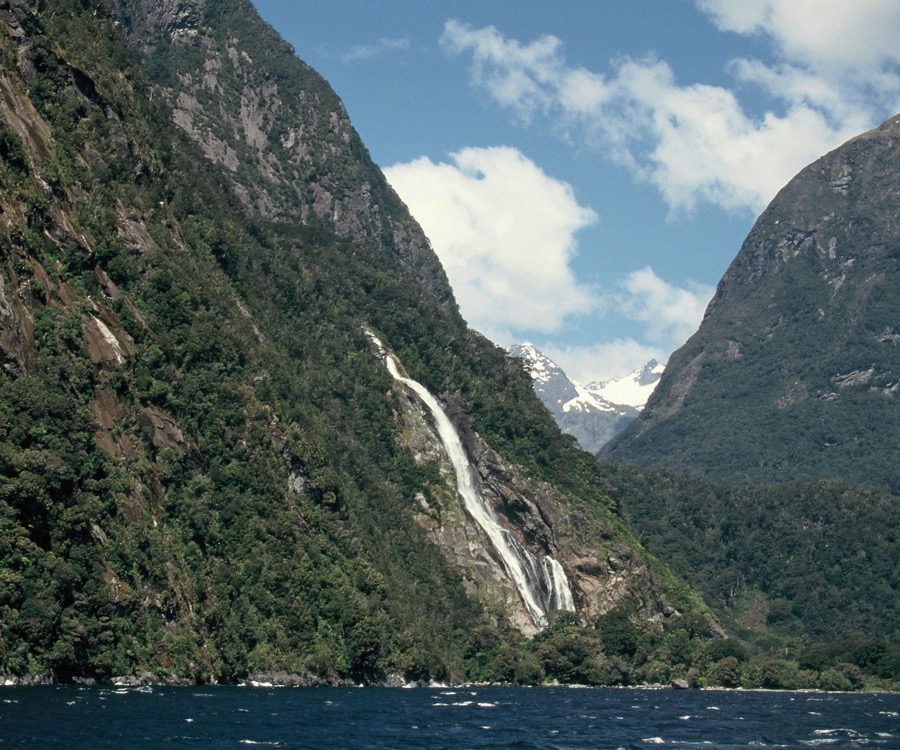 FIORDLAND.  VIEW.JPG