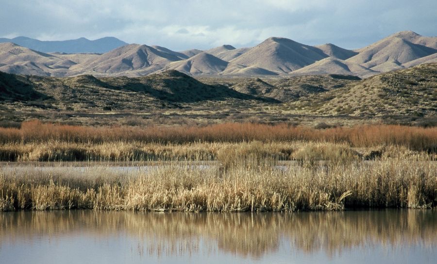 BOSQUE  DEL   APACHE.  Chupadero Mountains view.JPG