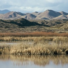 BOSQUE  DEL   APACHE.  Chupadero Mountains view.JPG
