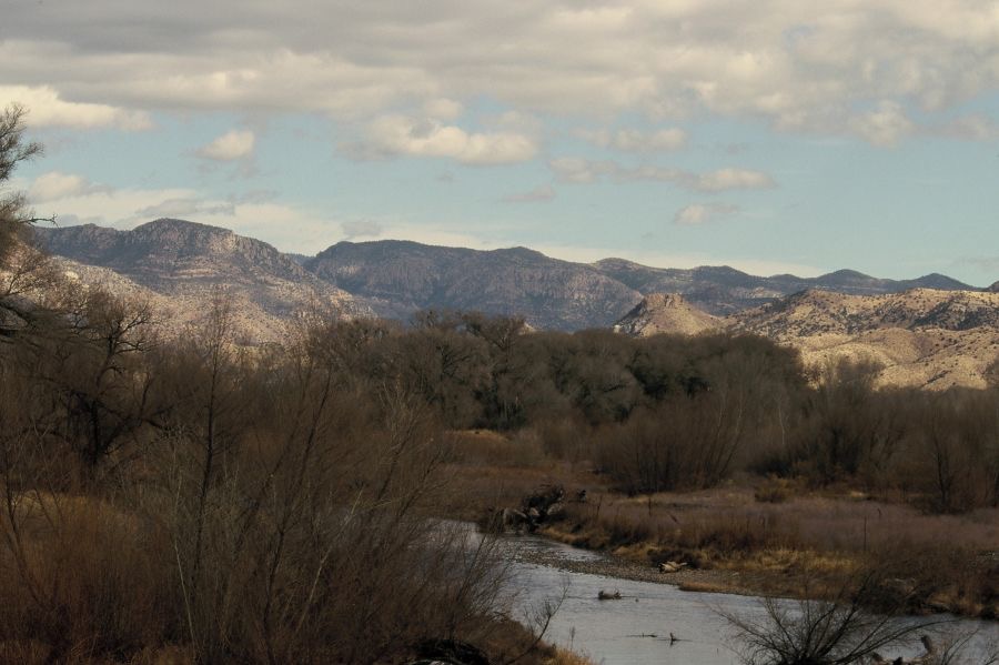 BOSQUE DEL  APACHE            Rio Grande  view.JPG