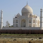 AGRA...TAJ MAHAL rear with    River Yamuna.JPG