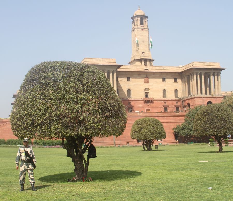 DELHI  NEW..  Government area & Guard.JPG