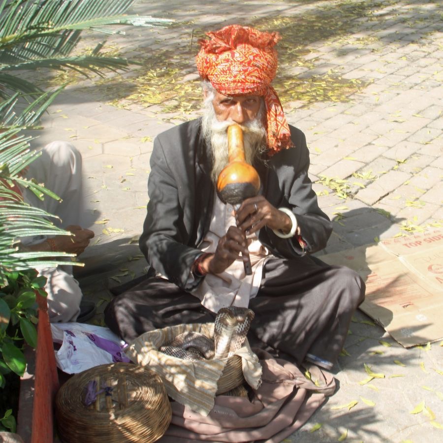 DELHI  OLD      Snake Charmer.JPG