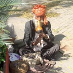 DELHI  OLD      Snake Charmer.JPG