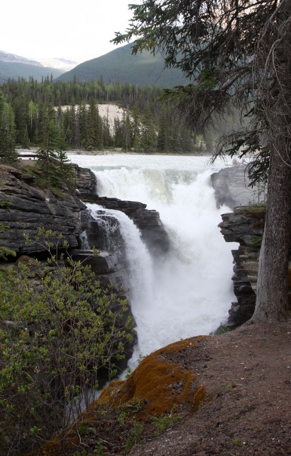 ATHABASCA          FALLS.       JASPER. N.P..jpg