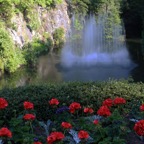 BUTCHART  GARDENS .  VANCOUVER ISLAND . B. C..jpg