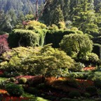 BUTCHART  GARDENS. VANCOUVER  ISLAND.B.C..jpg