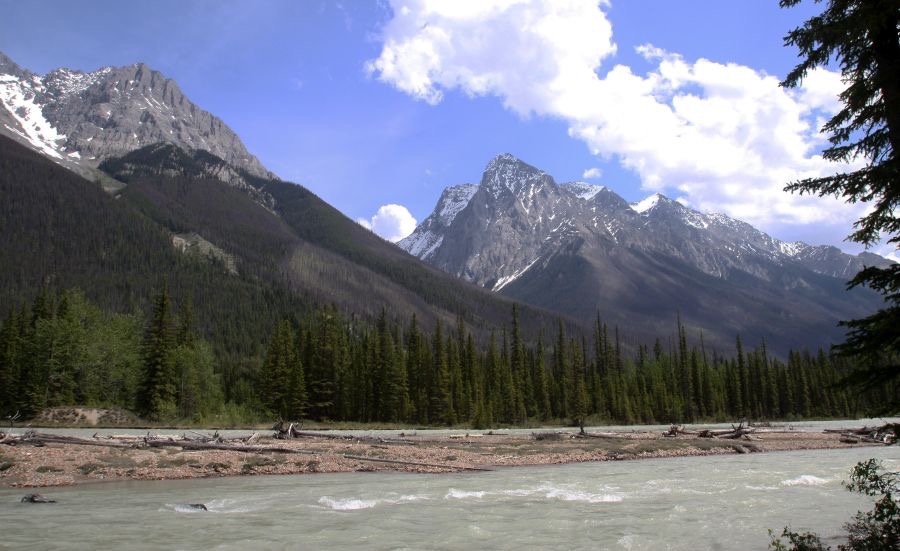 CANADIAN  ROCKIES .    BANFF. N.P..jpg