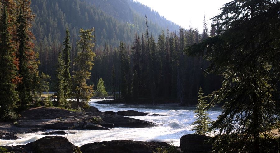 KICKING HORSE RIVER.         YOHO.N.P..jpg