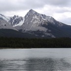 MALIGNE   .LAKE  .JASPER N.P. ALBERTA.jpg