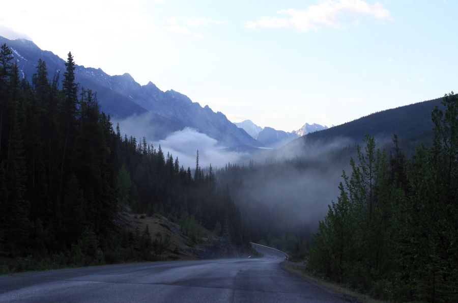 MALIGNE  LAKE ROAD..mist.  JASPER.N.P.  ALBERTA..jpg