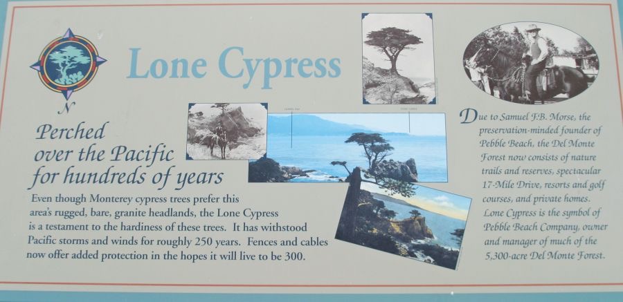 MONTEREY BAY. LONE CYPRESS. SIGN..jpg