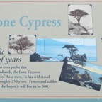 MONTEREY BAY. LONE CYPRESS. SIGN..jpg