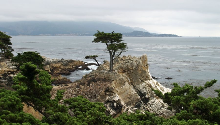 MONTEREY BAY. LONE CYPRESS. VIEWS.jpg