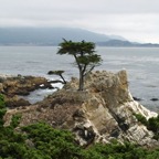 MONTEREY BAY. LONE CYPRESS. VIEWS.jpg