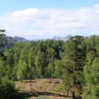 LAKE DISTRICT      TARN.  HOWS VIEW.jpg