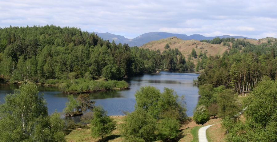 LAKE DISTRICT    TARN HOWS  VIEW.jpg