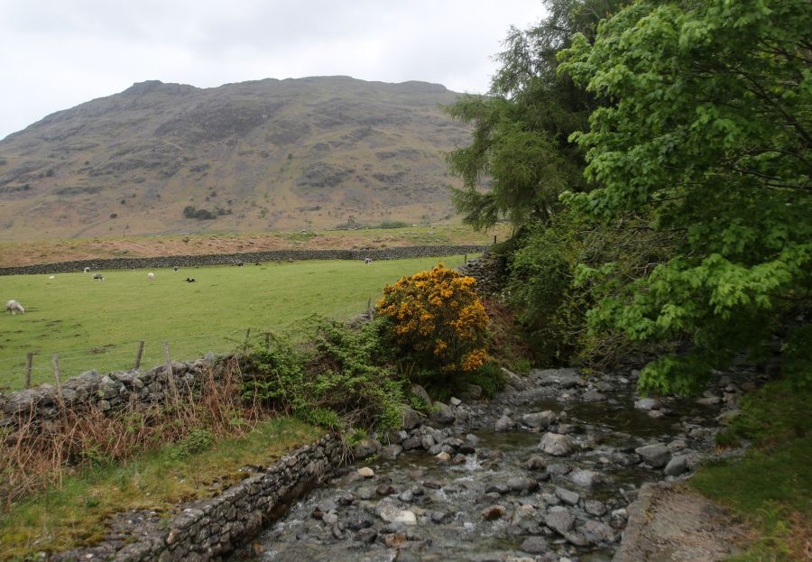 LAKE DISTRICT   WAST- WATER.jpg