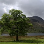 LAKE DISTRICT LITTLE LANGDALE TARN.jpg
