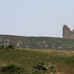 DUNSTAN- BURGH CASTLE.           Ruins.JPG