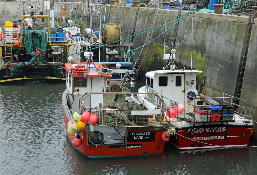 SEAHOUSES  HARBOUR.JPG