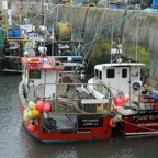 SEAHOUSES  HARBOUR.JPG
