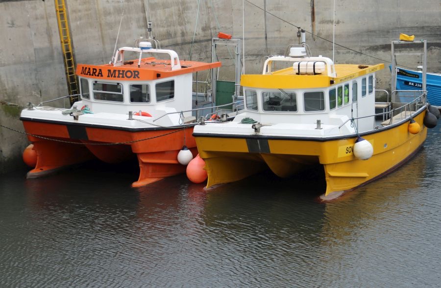 SEAHOUSES.  HARBOUR.JPG