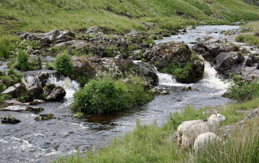 UPPER..  COQUET  RIVER.jpg