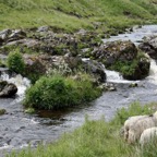UPPER..  COQUET  RIVER.jpg