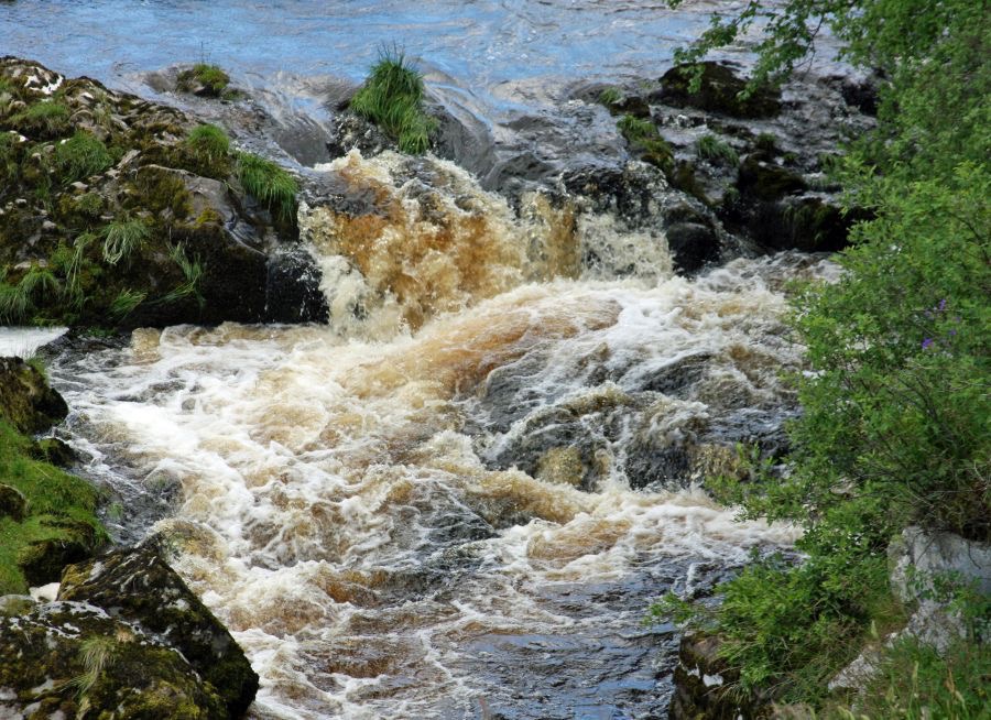 UPPER..  COQUET RIVER           in  flood.JPG