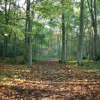 YORK      MOOR-   LANDS.jpg
