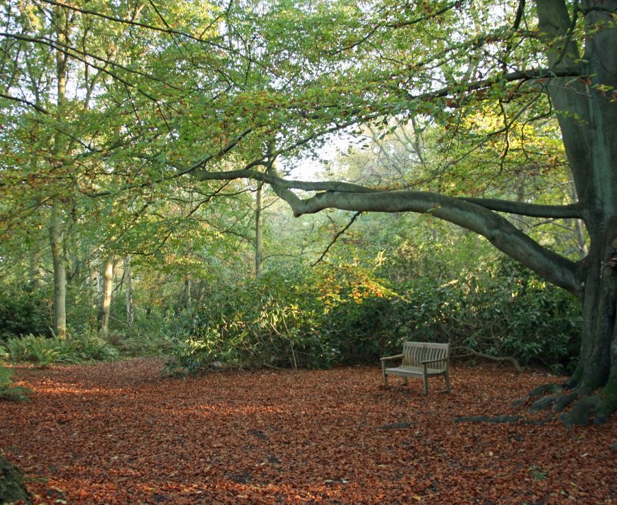 YORK MOOR-  LANDS.jpg