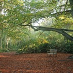 YORK MOOR-  LANDS.jpg