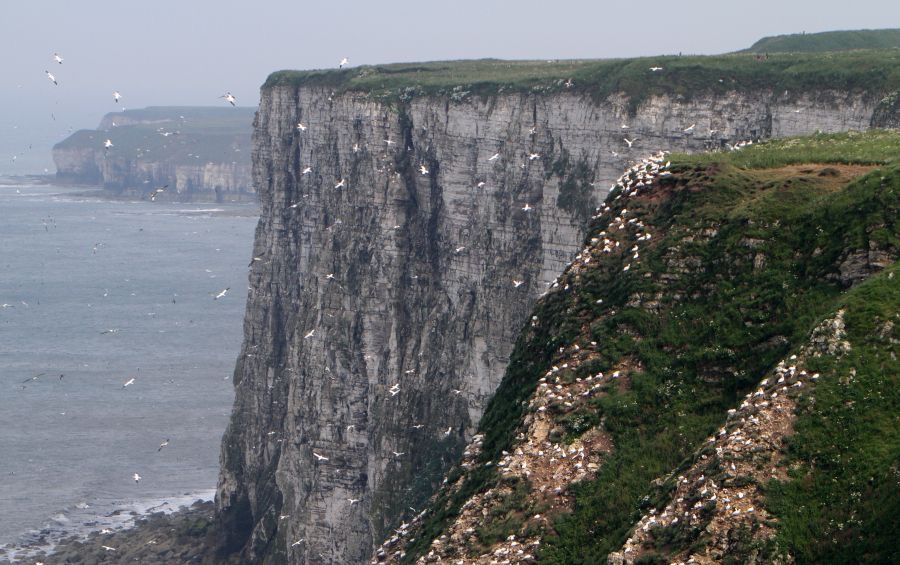 YORKS    BEMPTON.jpg