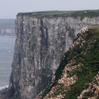 YORKS    BEMPTON.jpg