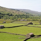 YORKS .SWALEDALE  Barns.JPG