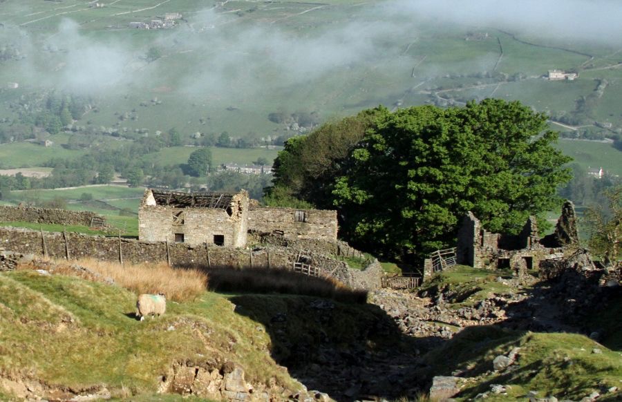 YORKS SWALEDALE     Old Farmhouse.jpg