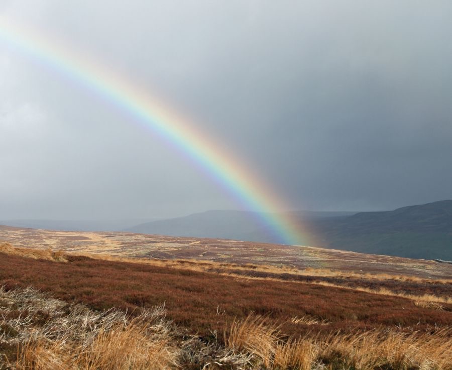 YORKS SWALEDALE Moors Rainbow.JPG