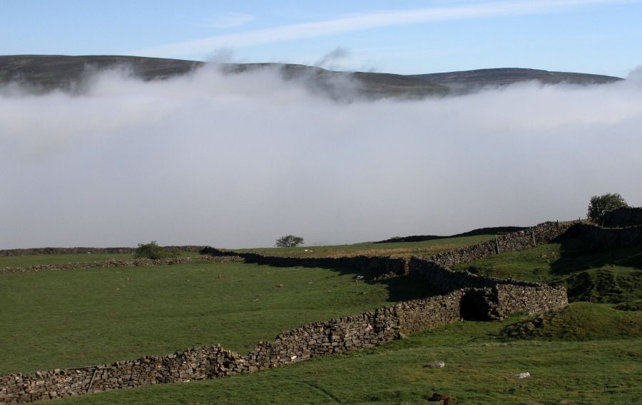 YORKS SWALEDALE Morning Mist.jpg