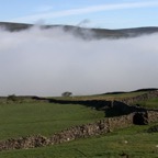 YORKS SWALEDALE Morning Mist.jpg