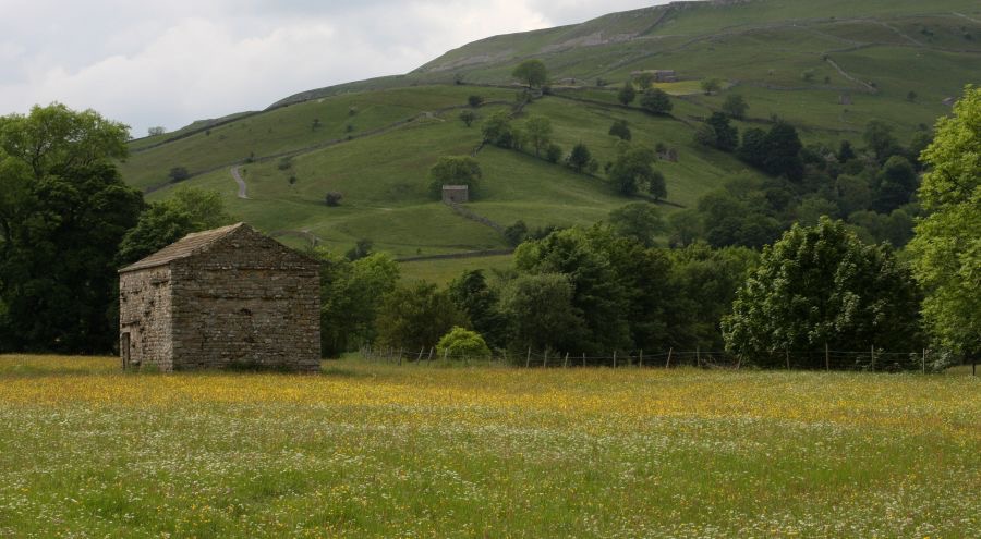 YORKS. .SWALEDALE Flower Meadows.jpg