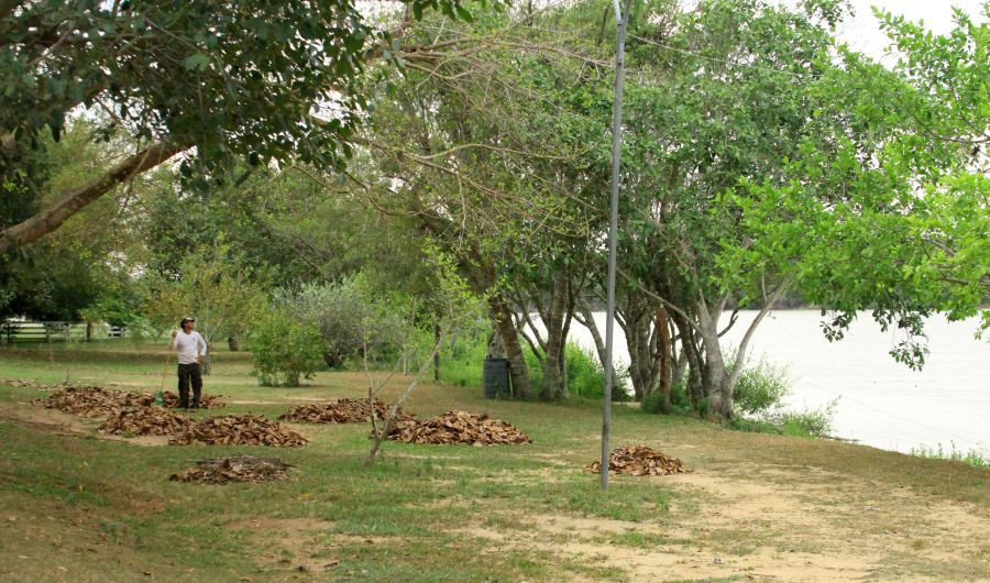 CUIABA  RIVER    BANK    PANTANAL.jpg