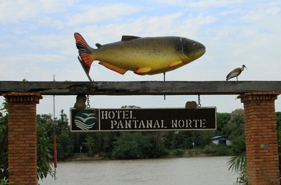 PORTO JOFRE    PANTANAL.jpg