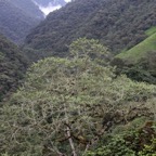TANDAYAPA     VALLEY.jpg