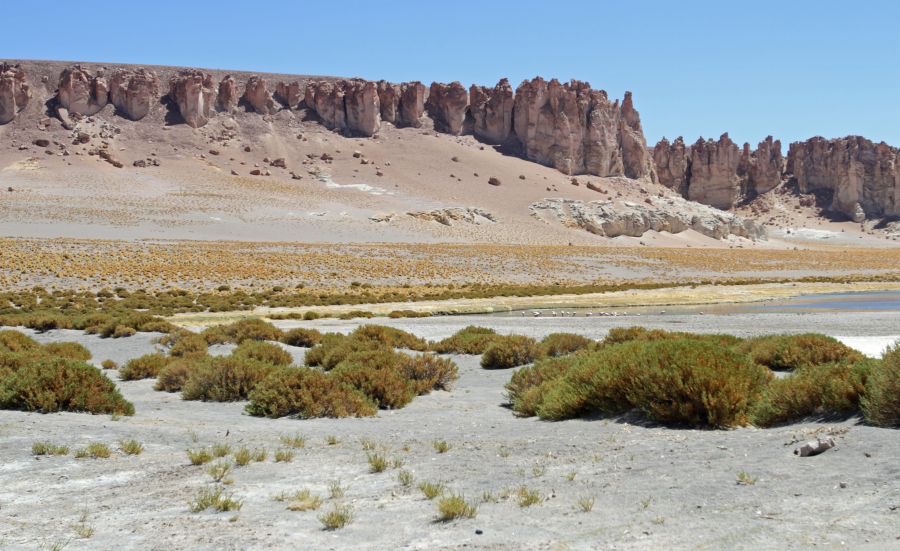 ATACAMA. 2      Sala  de Tara View....jpg