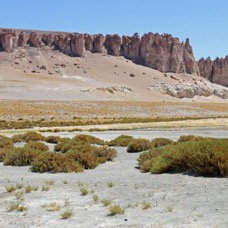 ATACAMA. 2      Sala  de Tara View....jpg