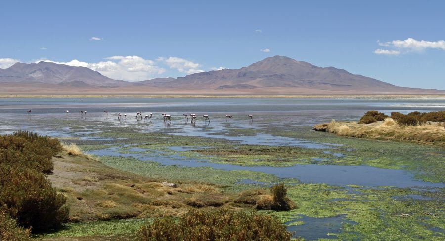 ATACAMA. 2   Sala  de   Tara    Views.jpg