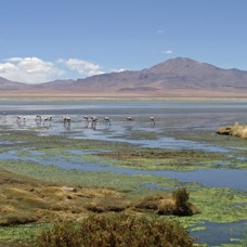 ATACAMA. 2   Sala  de   Tara    Views.jpg