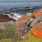 CAPE. PENINSULA.   Landscape . .W.Cape..jpg